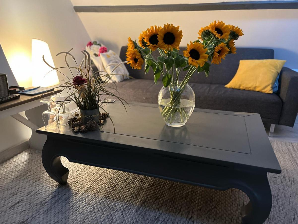 Maison 4 Personnes Tout Confort Alentours Boulogne Sur Mer Samer Bagian luar foto
